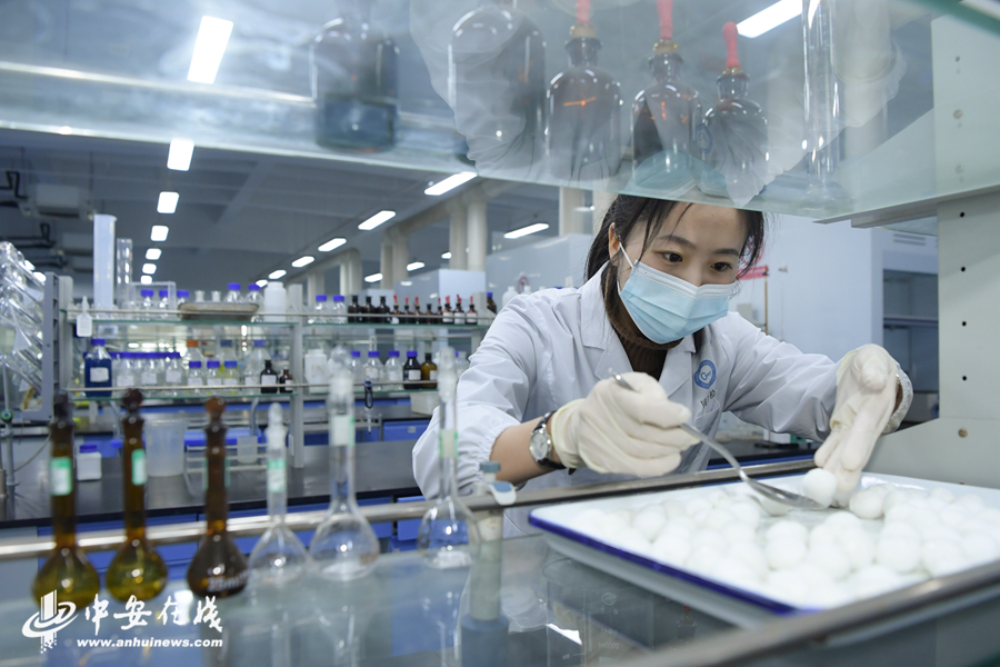 安徽合肥：舌尖上的检测 为元宵节“保驾护航” 【组图】