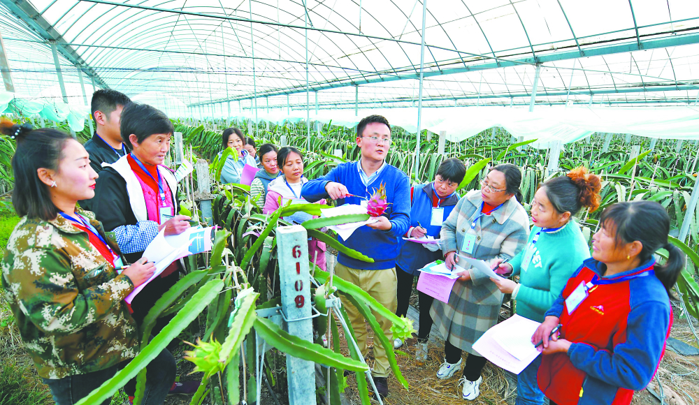 培训新型农民 中安新闻 中安新闻客户端 中安在线