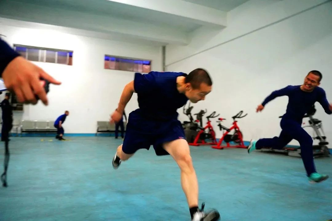 揭秘猛龙青训体系对战术执行力的长期影响