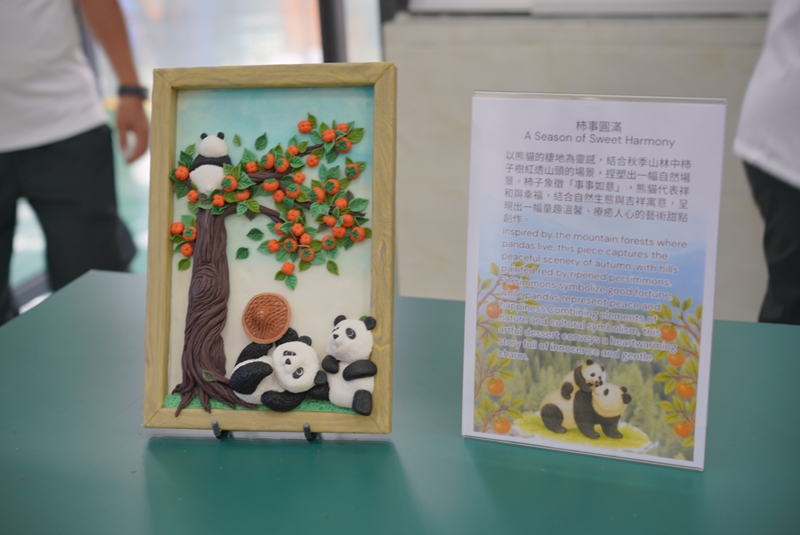3.台湾地区选手以大熊猫为主题的作品。.JPG