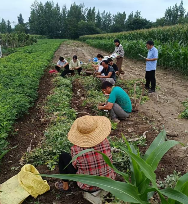 图片4.png 图片4.png