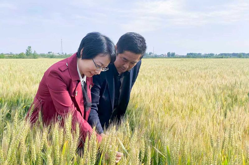 左一:潘苗苗.jpg 左一:潘苗苗.jpg