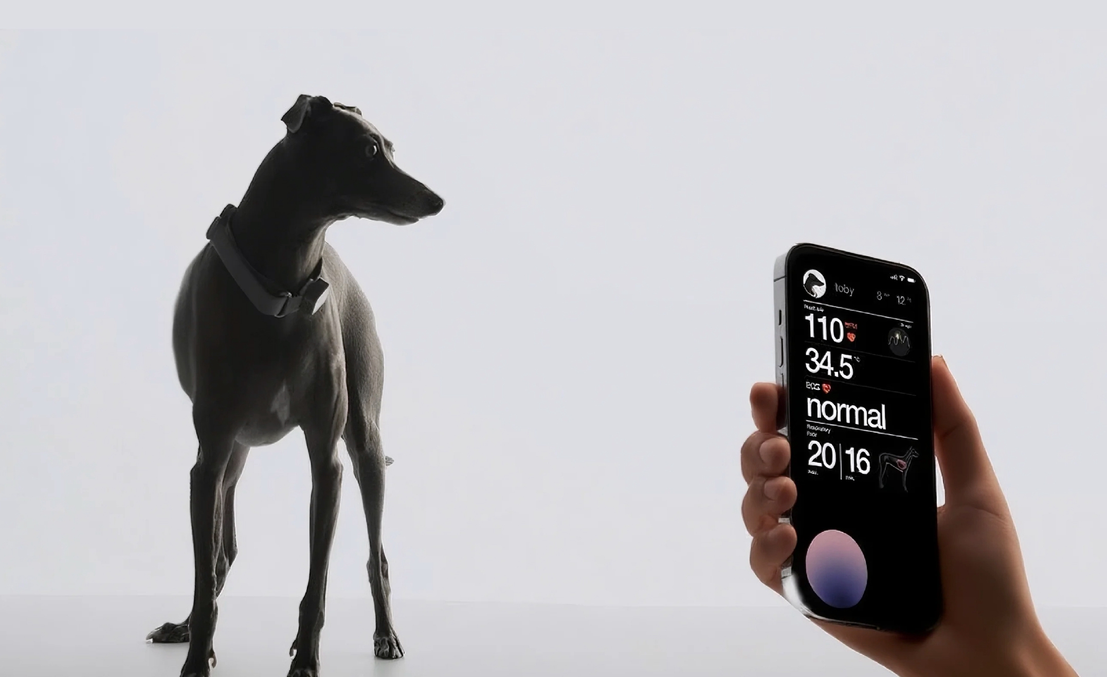 Pet Future_产品展示.jpg