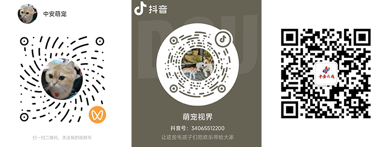 微信图片_20251031111812_97_39.png 微信图片_20251031111812_97_39.png