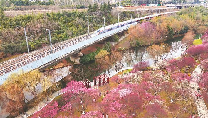 列车穿行梅林花海 匡河公园春日美景惹人醉