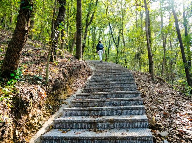 35bccabc2f0686793fa16fd2fe330c9d__url=http%3A%2F%2Fdingyue.ws.126.net%2F2026%2F0308%2F4be3563bj00tbkf43008cd000u000mbc.jpg&thumbnail=660x2147483647&quality=80&type=jpg.jpg 35bccabc2f0686793fa16fd2fe330c9d__url=http%3A%2F%2Fdingyue.ws.126.net%2F2026%2F0308%2F4be3563bj00tbkf43008cd000u000mbc.jpg&thumbnail=660x2147483647&quality=80&type=jpg.jpg