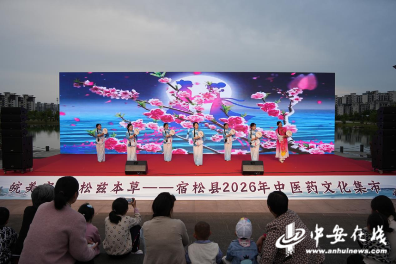 宿松县中医药文化集市开市