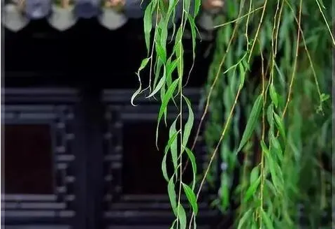 QQ20260603-170045.png