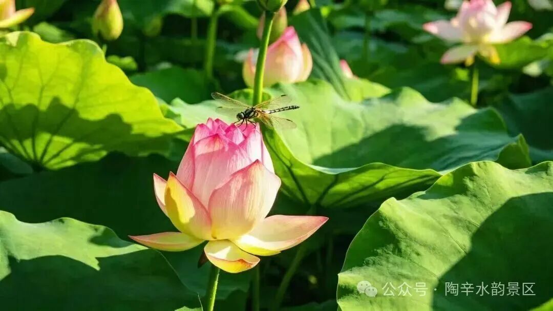 04.jpg