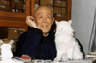 QQ20260618-145226.png