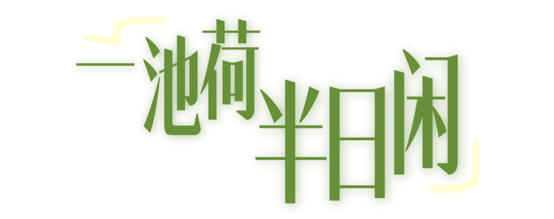 02.png