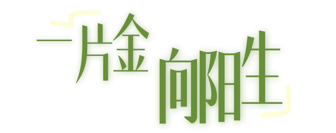 17.png
