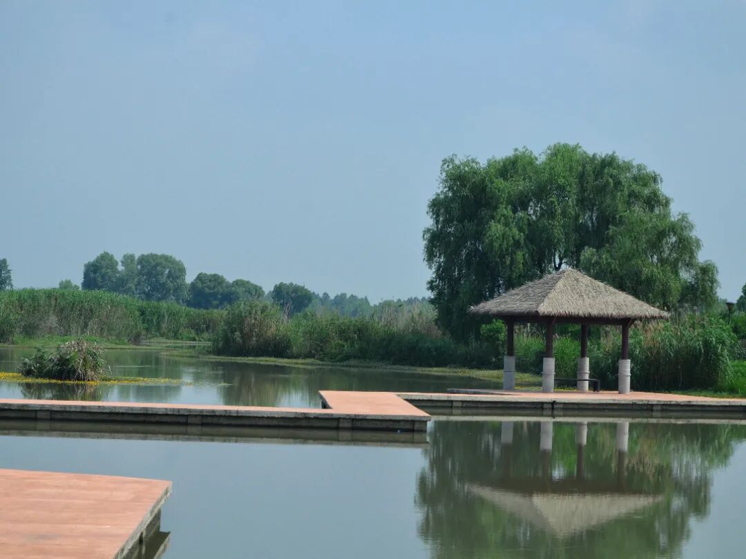 01.jpg