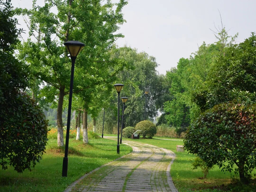 06.jpg
