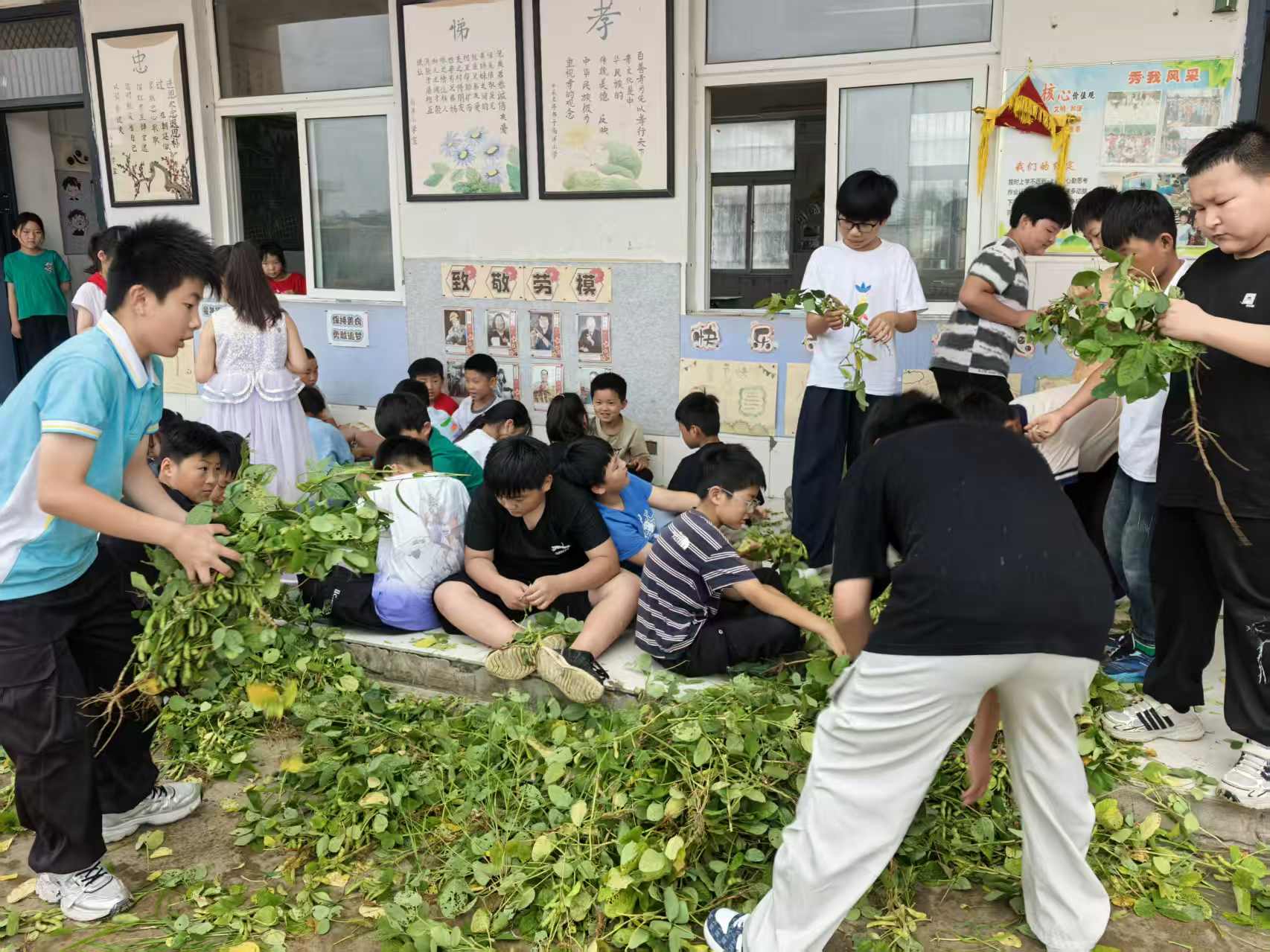 微信图片_20260626154730_7_348.jpg