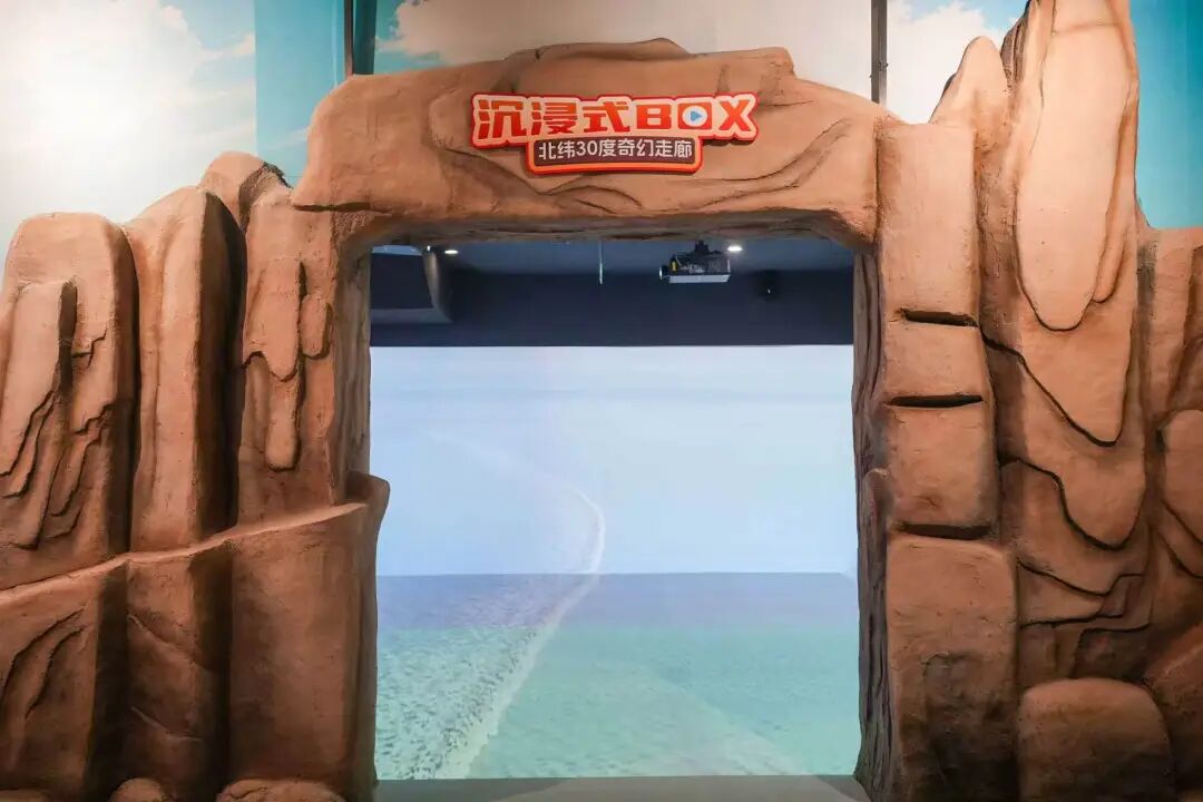 06.jpg