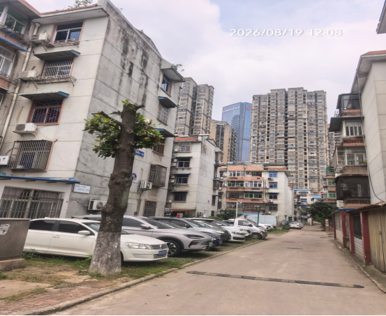 凤池苑小区飞线严重问题整改后.png