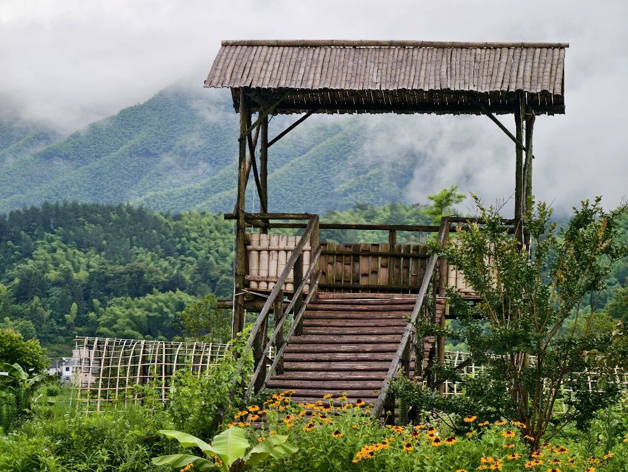 08.jpg