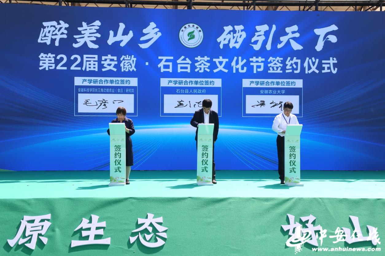 第22届安徽石台茶文化节举行_中安新闻_中安新闻客户端_中安在线