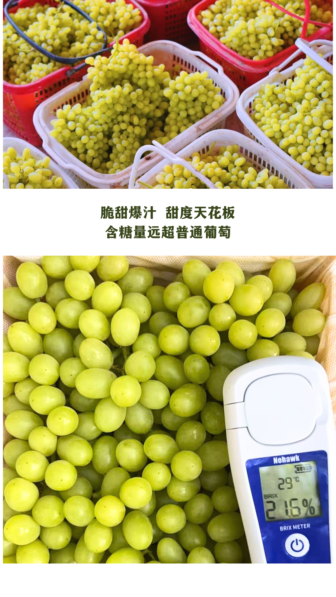 微信图片_2025-08-16_123133_964.png 微信图片_2025-08-16_123133_964.png