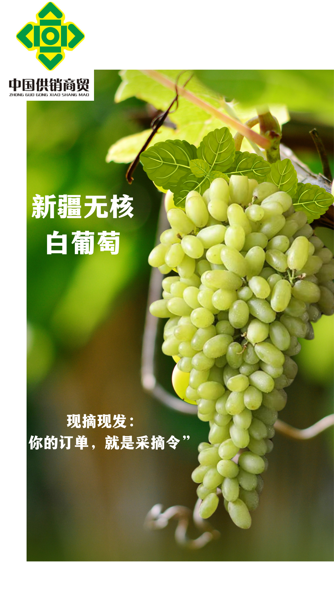 微信图片_2025-08-16_123145_692.png 微信图片_2025-08-16_123145_692.png