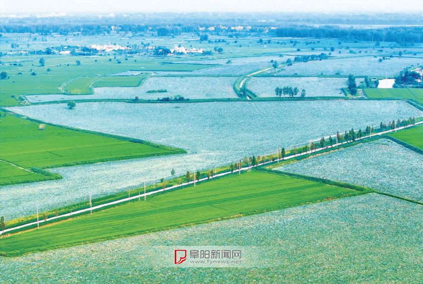 蒙洼新“丰”景_中安新闻_中安新闻客户端_中安在线